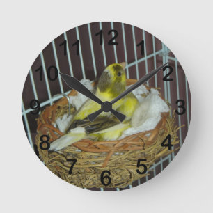 Canary Round Clock