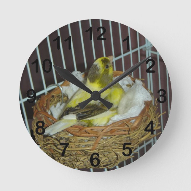 Canary Round Clock (Front)