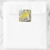 Canary Vintage Illustration Square Sticker (Bag)