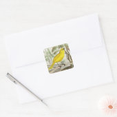 Canary Vintage Illustration Square Sticker (Envelope)