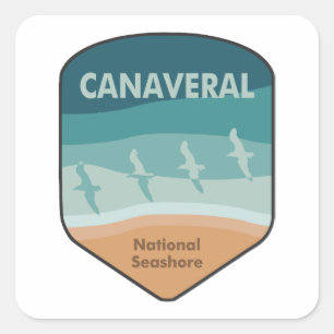 Canaveral National Seashore Florida Seagulls Square Sticker