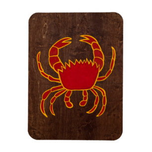 Cancer 2009 magnet