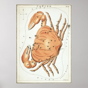 Cancer Astrological Drawing Poster