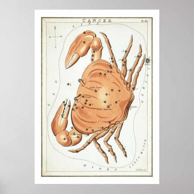 Cancer Astrology Zodiac Poster (Front)