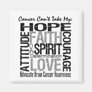 Cancer Can't Take My Hope Brain Cancer Magnet