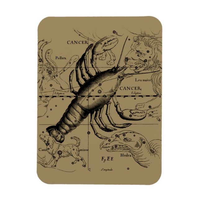 Cancer Constellation by Hevelius circa 1690 Magnet (Vertical)