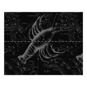 Cancer Constellation Hevelius 1690 Decor Photo Print
