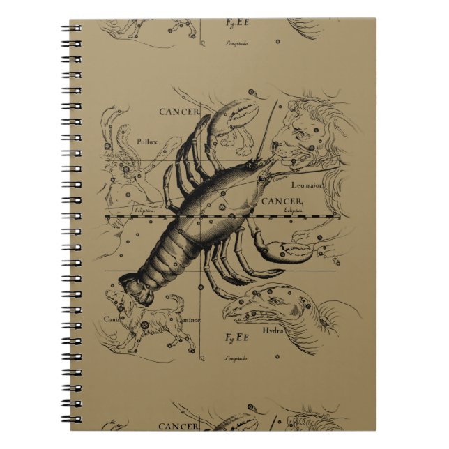 Cancer Constellation Hevelius 1690 Engaving Notebook (Front)