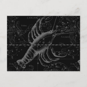 Cancer Constellation Hevelius 1690 on Black Postcard