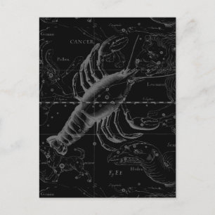 Cancer Constellation Hevelius 1690 on Black Postcard