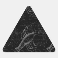 Cancer Constellation Hevelius 1690 on Black