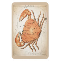 Cancer Constellation