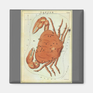 Cancer Crab Vintage Constellation, Urania's Mirror Magnet