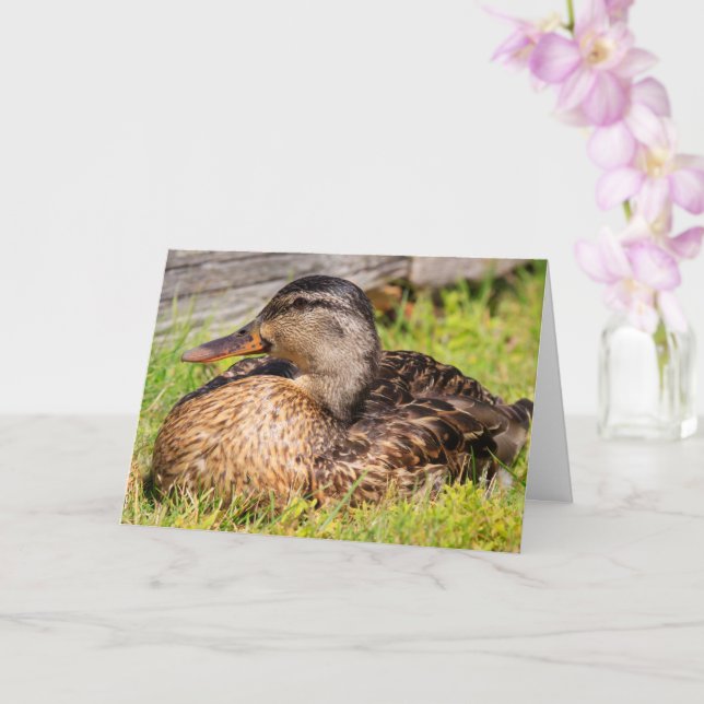 Cancer Encouragement Mallard Duck Card (Orchid)