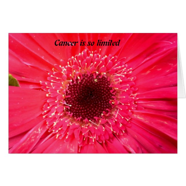 Cancer is so limited (Front Horizontal)