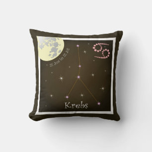 Cancer June 22 to July 22 cushions