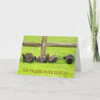 Cancer Support Duck Wildlife Cute 