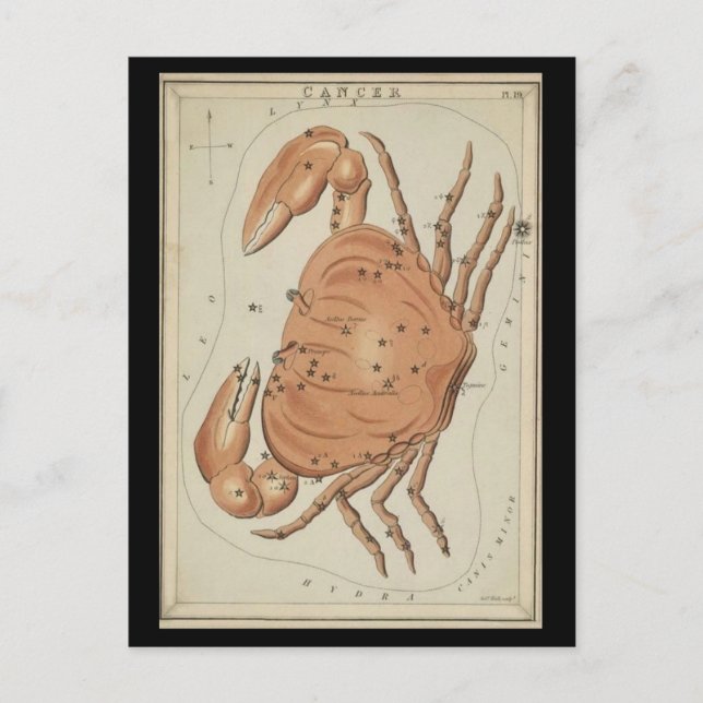 Cancer the Crab Postcard (Front)