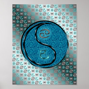 Cancer & Water Snake Poster