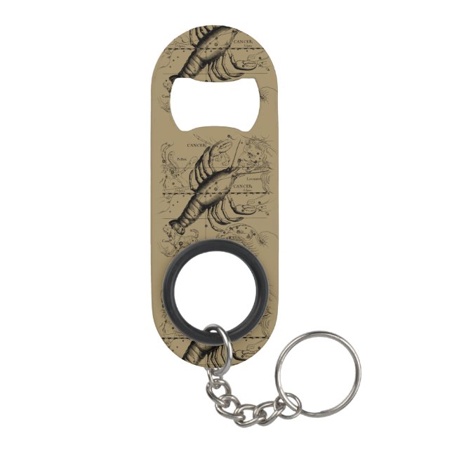 Cancer Zodiac Constellation by Hevelius 1690 (Back)