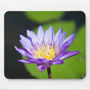 Cancun, Mexico Mouse Pad