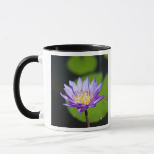Cancun, Mexico Mug