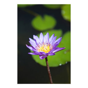 Cancun, Mexico Photo Print