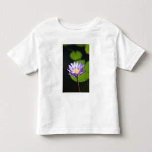 Cancun, Mexico Toddler T-Shirt