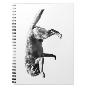 Candid Pause Notebook