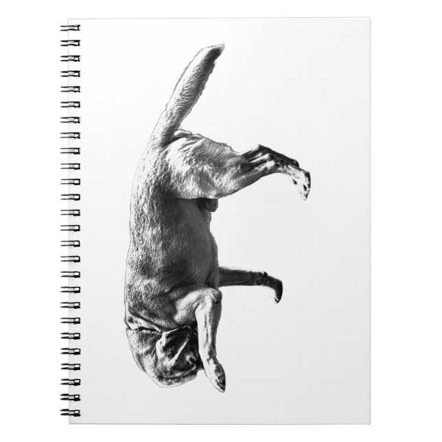 Candid Pause Notebook (Front)