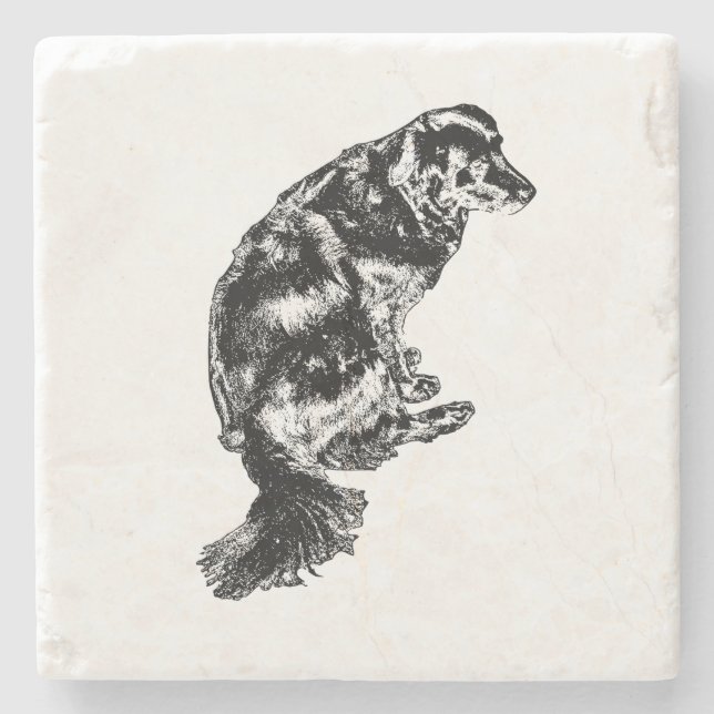 Candlelight Edge — Retriever Stone Coaster (Front)