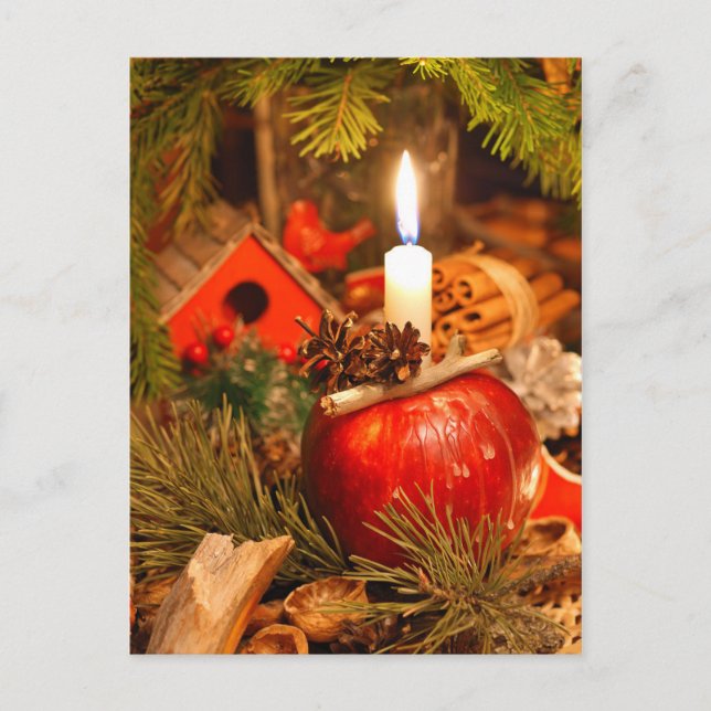 Candlelight under the Pine Tree Postcard (Front)