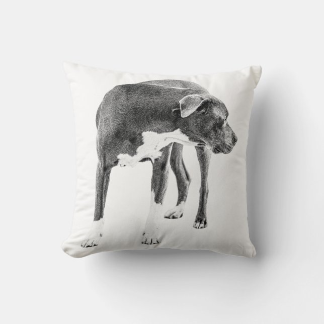 Candlelit Sentry Cushion (Front)