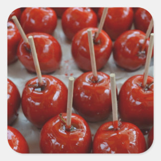 Candy Apples in Fantasyland Square Sticker