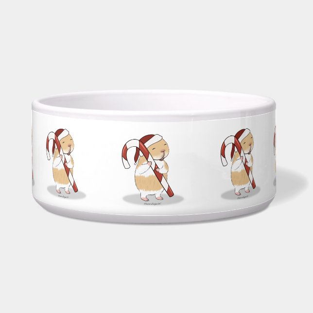 Candy cane and guinea pig (Front)