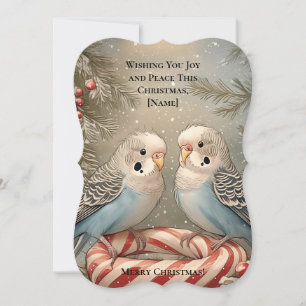 Candy Cane Budgie Christmas Greeting Card