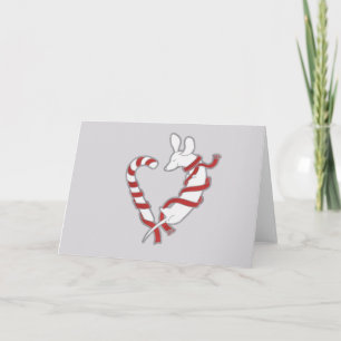 Candy Cane Doxie Holiday Card