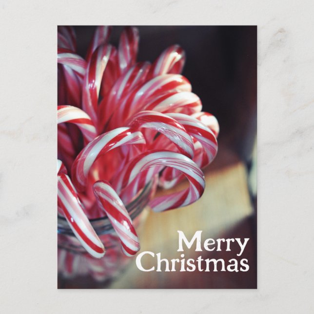Candy Cane, Jingle Bells, Christmas Candy Holiday Postcard (Front)