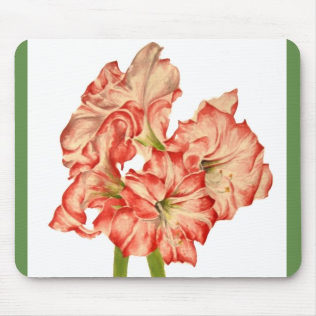 Candy Cane Lilies on a Mouse Pad (Front)