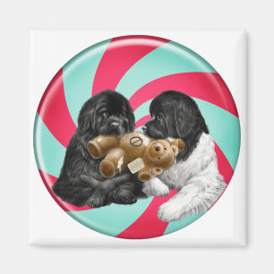 Candy Cane Newfoundlands Magnet