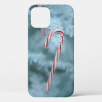 Candy Cane on Tree