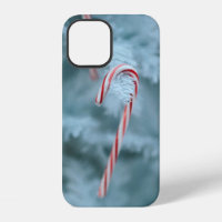 Candy Cane on Tree