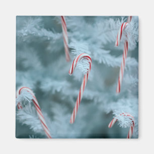 Candy Cane on Tree Magnet