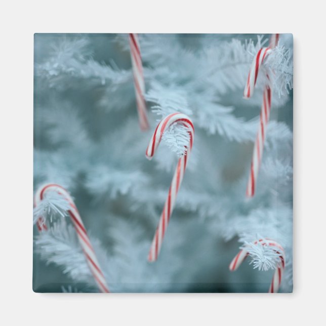Candy Cane on Tree Magnet (Front)