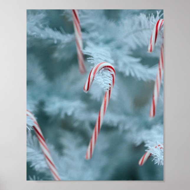Candy Cane on Tree Poster (Front)