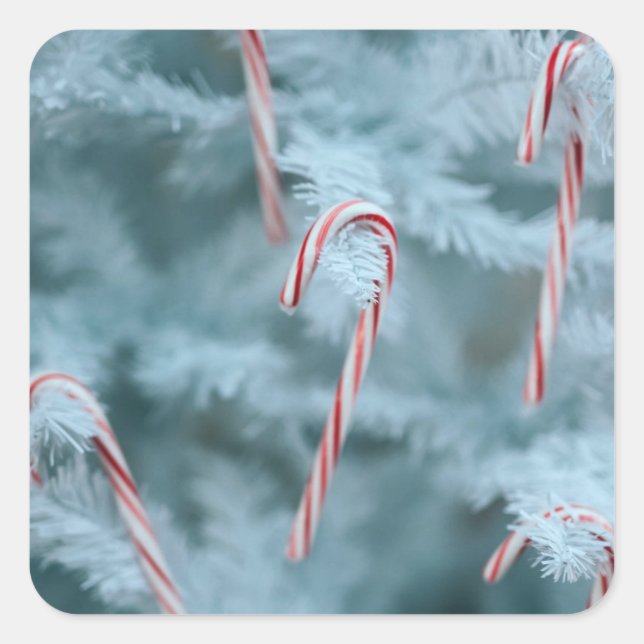 Candy Cane on Tree Square Sticker (Front)