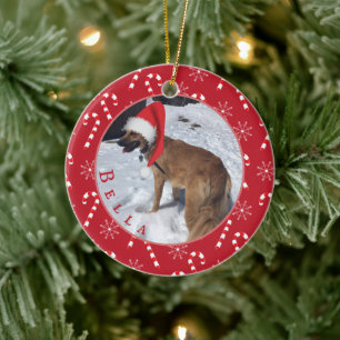 Candy Canes and Snowflakes Dog Photo Ornament