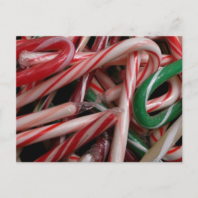 Candy Canes Christmas Holiday White Green and Red Postcard (Front)