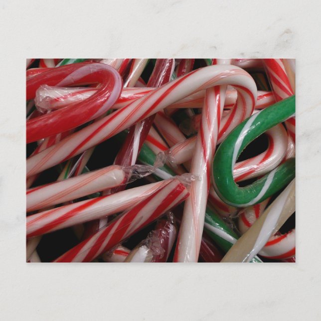 Candy Canes Christmas Holiday White Green and Red Postcard (Front)