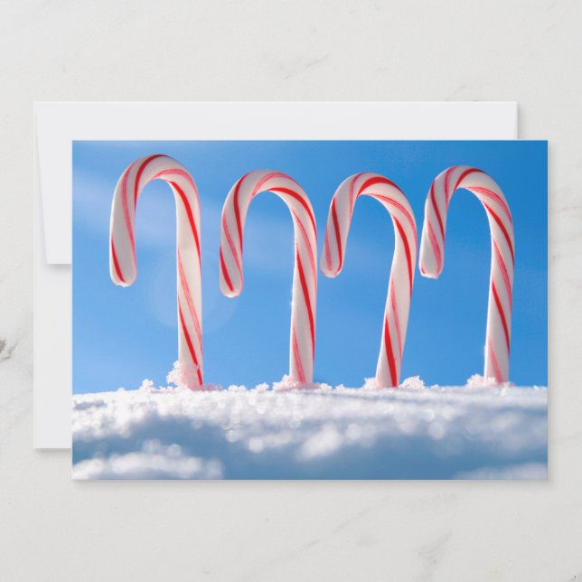 Candy Canes Holiday Card (Front)